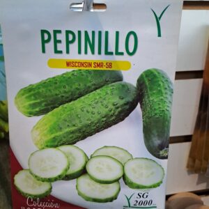 Semilla Pepinillo