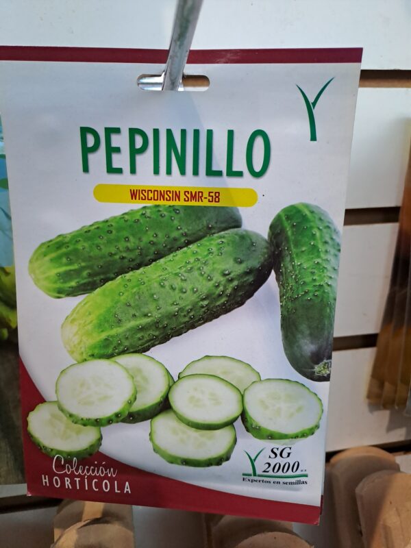 Semilla Pepinillo
