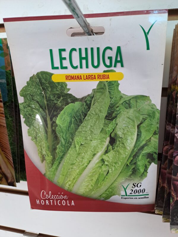 Semilla lechuga larga
