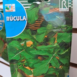 Rúcula