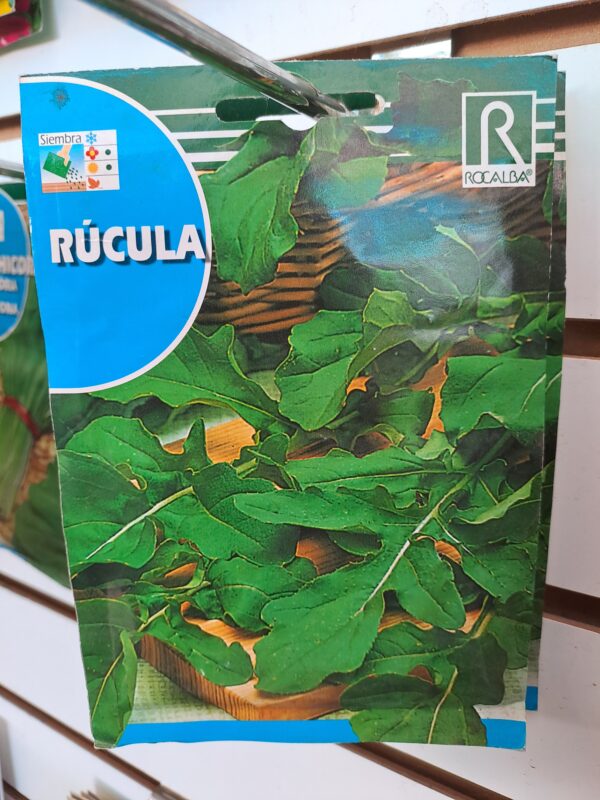 Rúcula