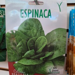 Espinaca