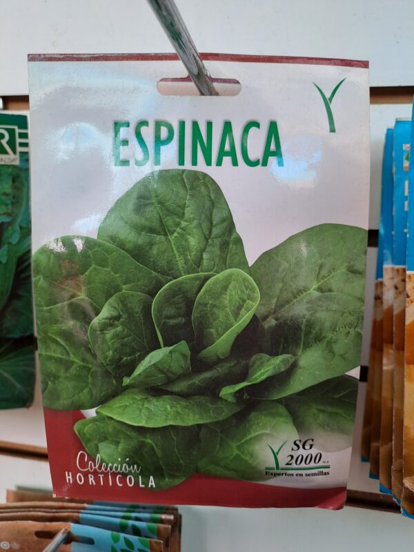 Espinaca