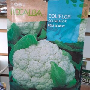 Coliflor