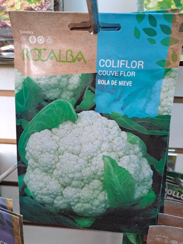 Coliflor