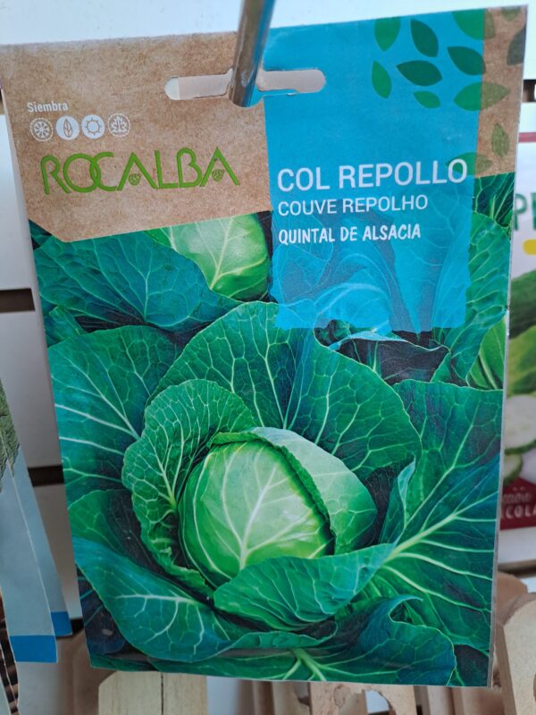 Repollo Col