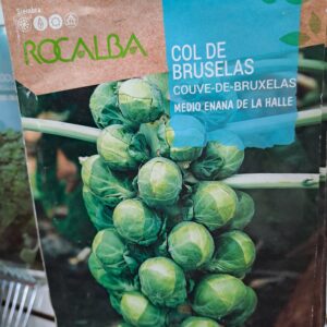 Bruselas