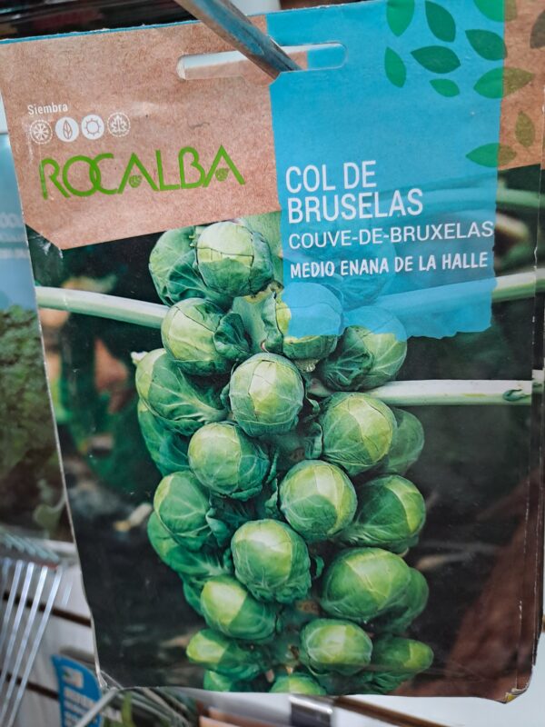 Bruselas