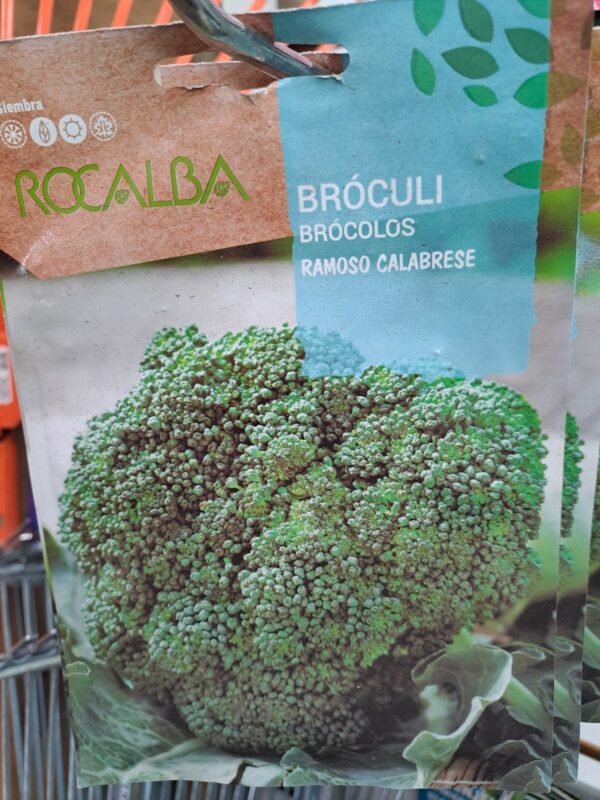 Brocoli