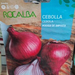 Cebolla Morada