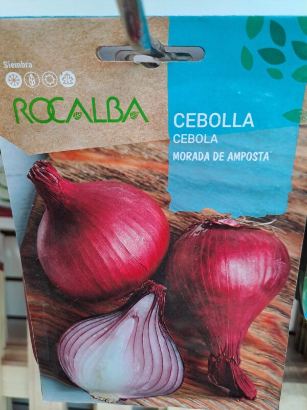 Cebolla Morada