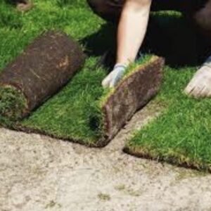 Pasto en Rollo Natural 50 x 100cm